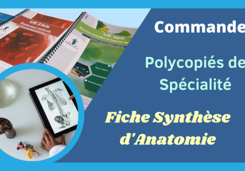 Commande des Polycopiés de Spécialité et des Fiches synthèse d’Anatomie