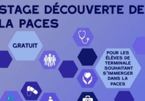 Journées d’immersion