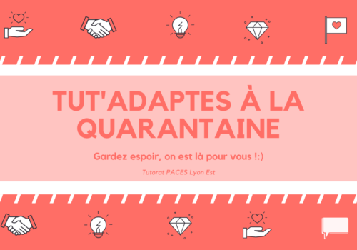 Le Tutorat s’adapte à la situation exceptionnelle