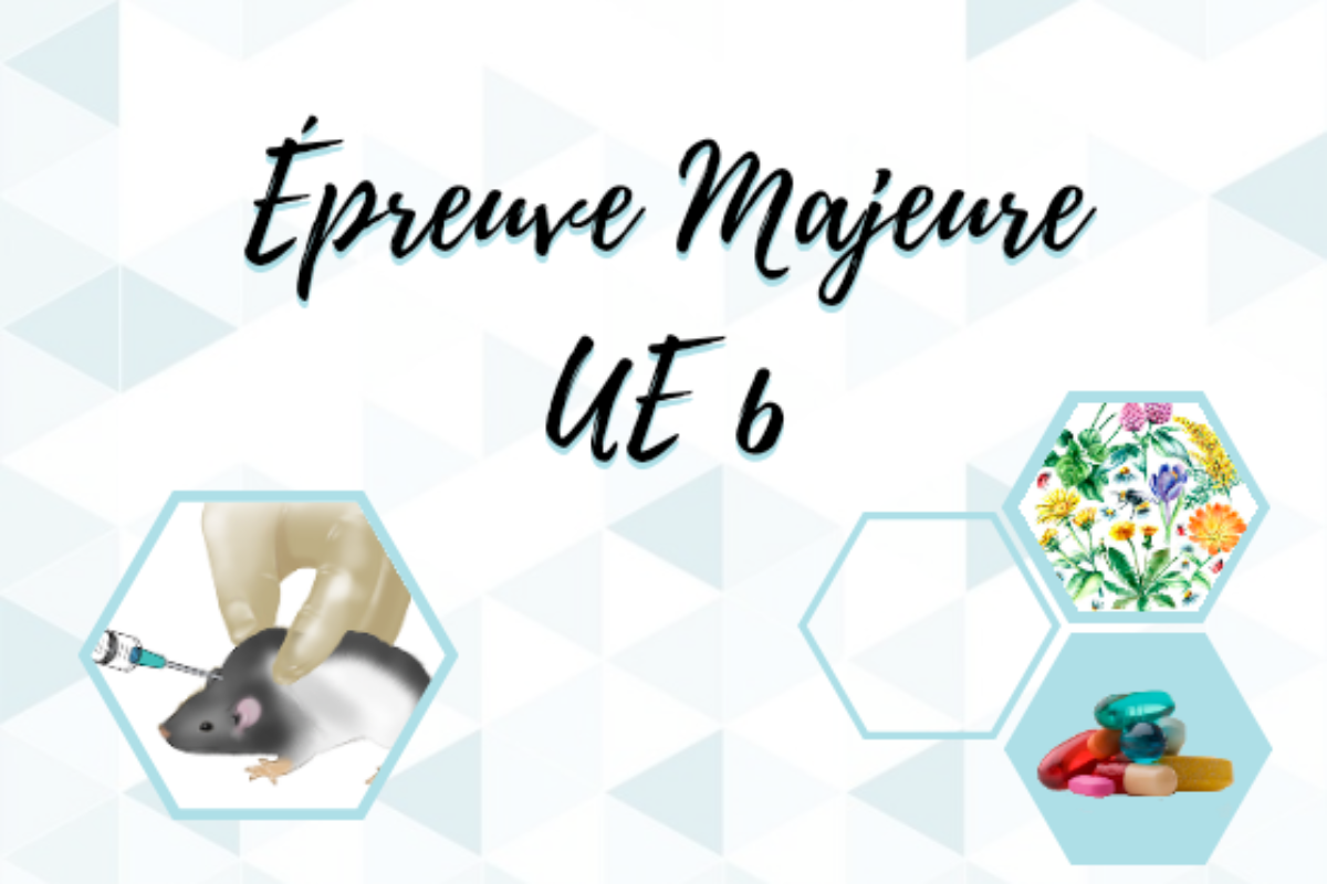 Épreuve Majeure UE 6