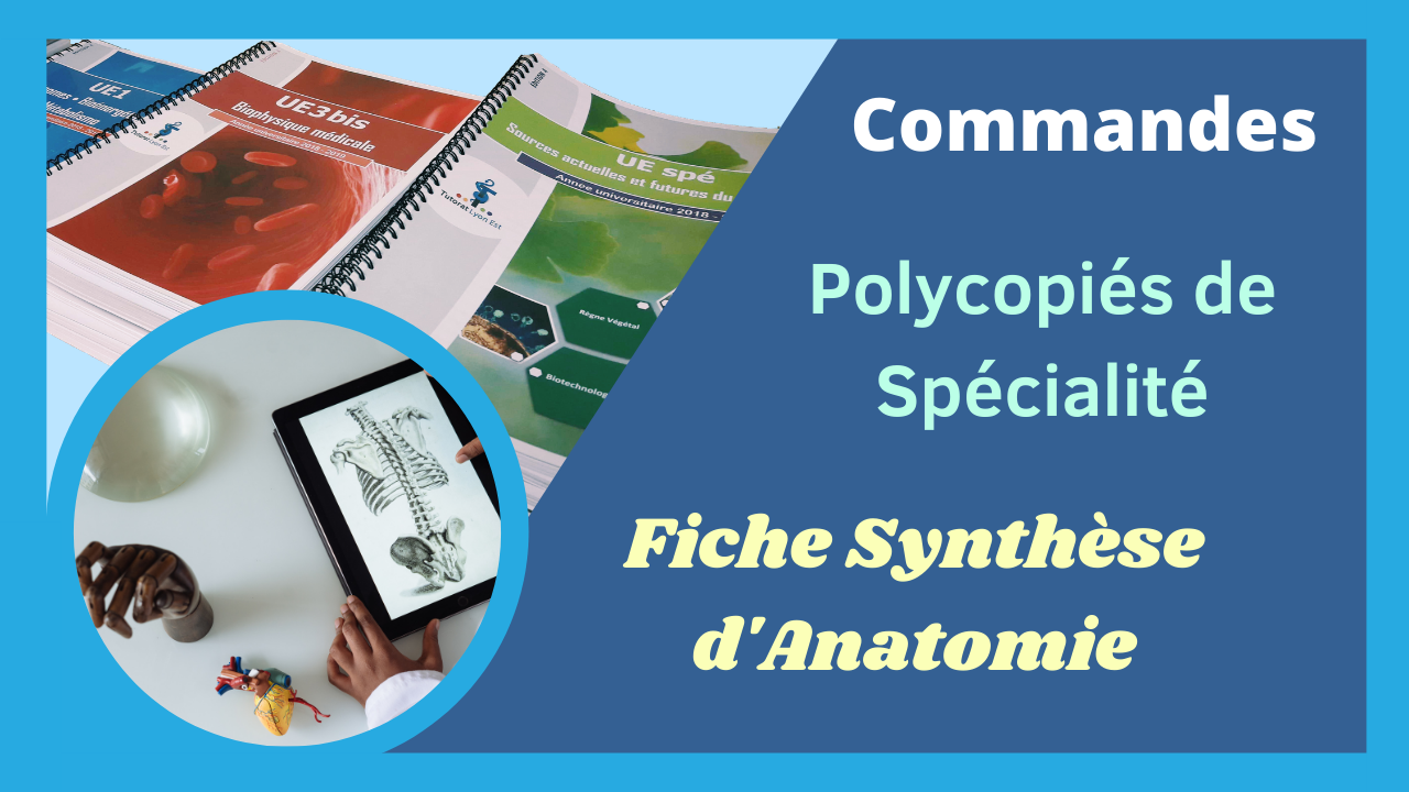 Commande des Polycopiés de Spécialité et des Fiches synthèse d’Anatomie