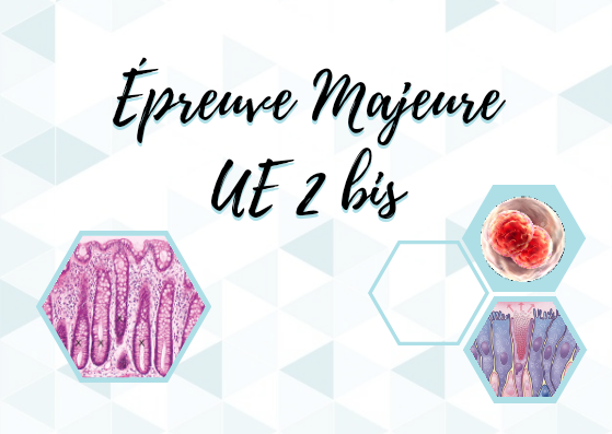 Épreuve Majeure UE 2 bis