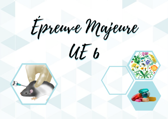 Épreuve Majeure UE 6